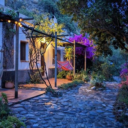 Cortijo Jamaica - Off Grid Paradise - Costa Tropical Los Diaz  المظهر الخارجي الصورة